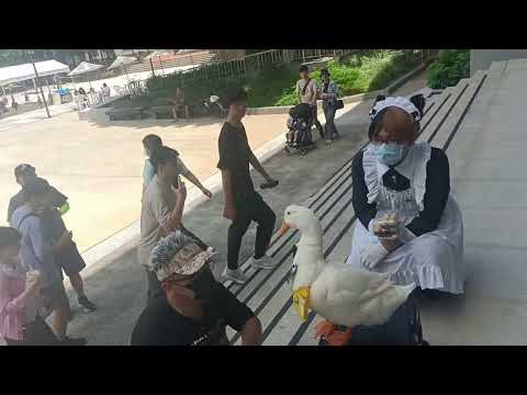 《漫人祭–2025新竹國際動漫節》(Hsinchu Animation & Comics Festival)於114年6月28日(六)、29日(日)在新竹市立體育館舉辦。