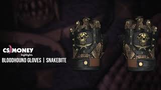 Bloodhound Gloves Snakebite Gameplay