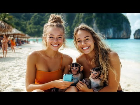 🇹🇭⛱️🐒 MONKEY BEACH PHI PHI ISLAND, UP CLOSE WITH WILD MONKEYS IN TROPICAL PARADISE, THAILAND, 4K