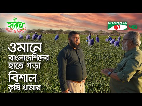 ওমানে বাংলাদেশি সহোদরের হাতে গড়ে উঠেছে বৃহত্তম কৃষি খামার |Oman | Shykh Seraj | Channel i |