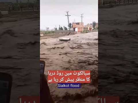 Sialkot bazaar turns into river after heavy flood #pakistanflood