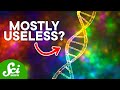 Understanding Junk DNA