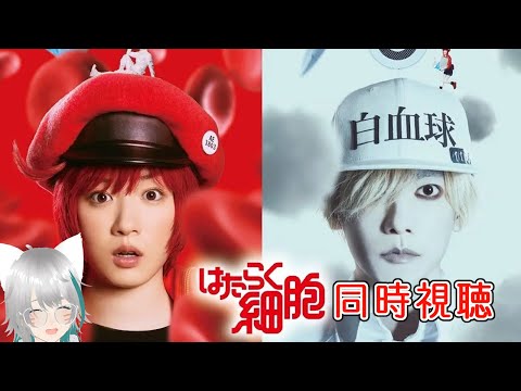 thumbnail_b5ct-wPCElE