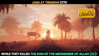 Jami at Tirmidhi 3770