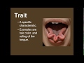 Genetics Concepts and Terminology