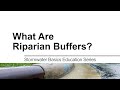 Riparian Buffers and Stream Ecosystems