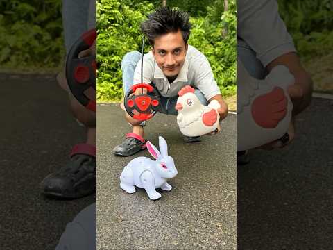 AMAR 3 Egg Laying Hen and Remote Wala Rabbit unboxing