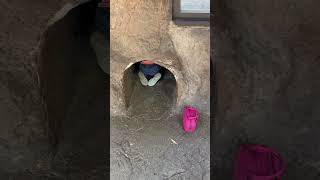 #foryou #viral #zoo