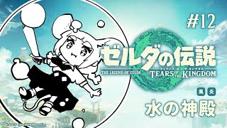 #12 いざ、水の神殿【ゼルダの伝説 ティアーズ オブ ザ キングダム│#まうはまうまう】