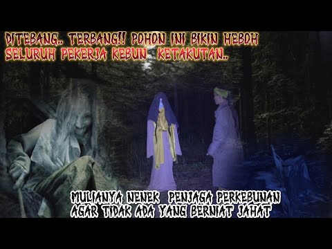 GEMPARR!MISTERI POHON DITEBANG, TERBANG! SELURUH PEKERJA KETAKUTAN AKAN HAL INI. TERNYATA TANDA BAIK