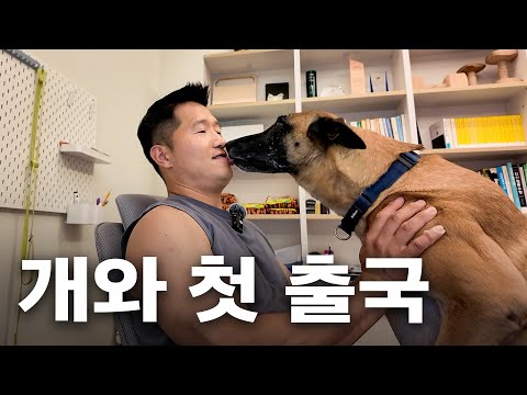 저 미국 갑니다 [형욱로그]