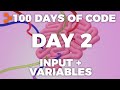 Understanding Variables and Input in Programming