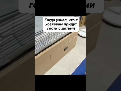 Умный кот 😹 #shortvideo#смешныевидео#шортсы#шортс#шорты#трендытикток#коты