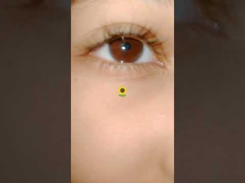 ٢٢ سبتمبر ٢٠٢٥