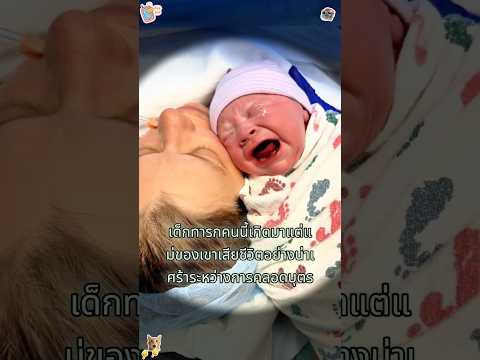 แม้หลังจากเสียชีวิต แม่ก็ยังคอยเฝ้าดูลูกน้อยของเธอ