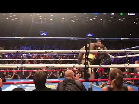 Wow... Knock out of the year.. I️ had the best seats | Wilder vs Stiverne