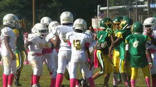 Park Place Kings vs Berkley Timberwolves 10u  full game
