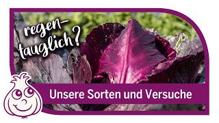 Sortenempfehlung für deinen bunten Gemüsegarten | Garten im August
