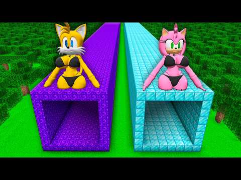 I found a SONIC AMY TUNNEL vs TAILS in Minecarft ! What's INSIDE the LONGEST TUNNEL !?