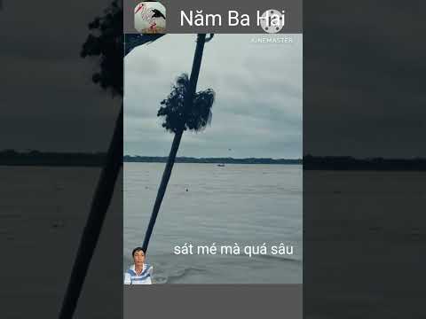 Lở hết mấy hàng cau xuống đáy sông