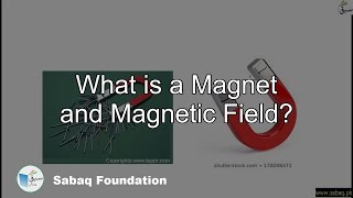 What is a Magnet and Magnetic Field?