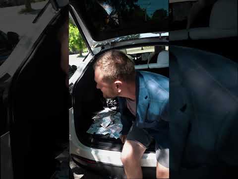 🦈 Shark Taxi — Поїздки в стилі Комфорту 🚖💛 🦈 #funny #sharktaxi #viralshorts #trending #newvideo