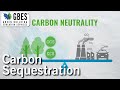 Oceanic Carbon Cycle and Sequestration