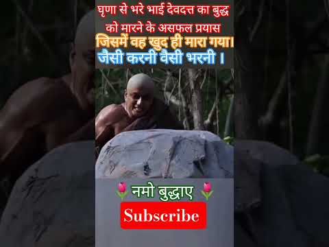 देवदत ने किया बुद्ध को मारने के प्रयत्न #budha #lordbuddha #peace#dhamma#viral#bodhi#bodhiinspired