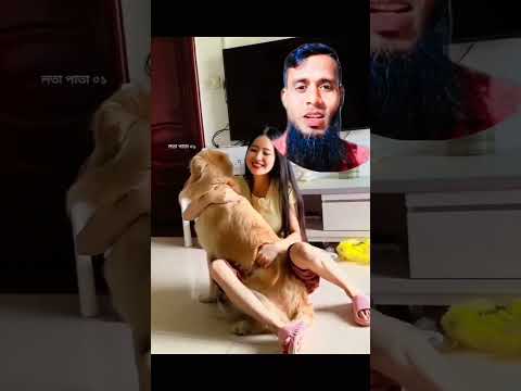 দেখেন কি ভাবে কুকুর কে আদর করতে ছে#reels #funny #subscribe #short