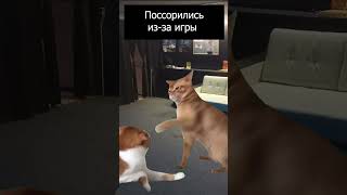 Приходи к нам со своей кукарачей) #vr #спб #shorts #memes
