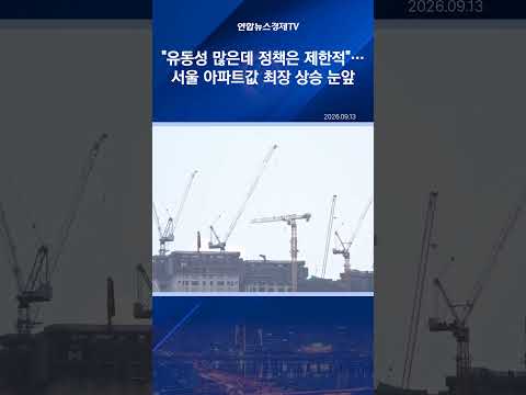 유동성 많은데 정책은 제한적…서울 아파트값 최장 상승 눈앞