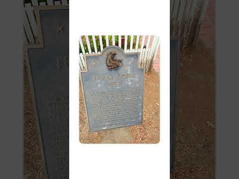 Fishing Poles to Apple Bowls🎣🍏🥧 Shot on Meta Smart Glasses #raybanmeta #julian #sandiego #pov