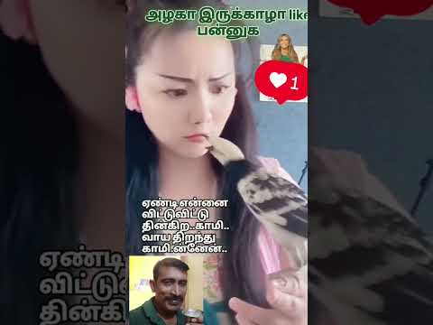 ஏண்டி என்ன விட்டுட்டு என்ன திங்குற காமி