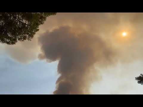 Βίντεο από τη φωτιά στον οικισμό Σωτήρα της Μάνδρας