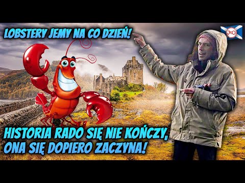 LOBSTERY jemy na CO DZIEŃ! Historia RADO się dopiero ZACZYNA!