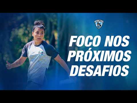 image para ilustrar o artigo