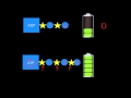 Exploring Light Reactions and the Calvin Cycle