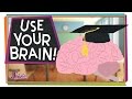 Understanding the Brain