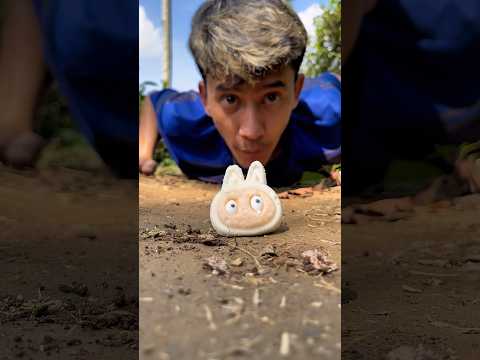 Viral, Labubu is, after all, a favorite toy for the legged mini anaconda #millipede #labubu