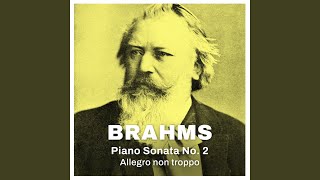 Brahms: Piano Sonata No. 2 - Allegro non troppo (Excerpt)
