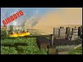 Aerosols and Their Global Impact