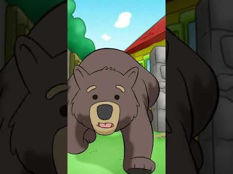 ¡Oso al rescate! #shorts
