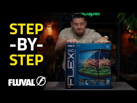 Watch This Fluval Flex 2.0 Transform Into a Stunning Aquascape!