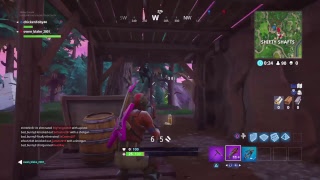 FORTNITE battle royal MADNESS