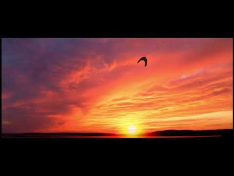 Il violinista più pazzo del mondo