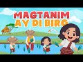 Pagtatanim at mga Epekto Nito