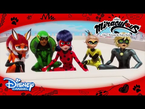 Mucize: Uğur Böceği ile Kara Kedi | Ekip Tamam😎 | Disney Türkiye
