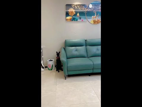 I found an ice cream man made of ice cream on my ice cream sofa. This is so delicious, eh? Where is