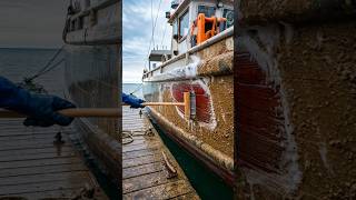 BOAT CLEANING Moment Begins 🧹🧹