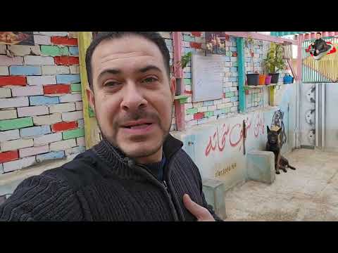 تجهيز المكان والنهارده اليوم ٥٥ ليها